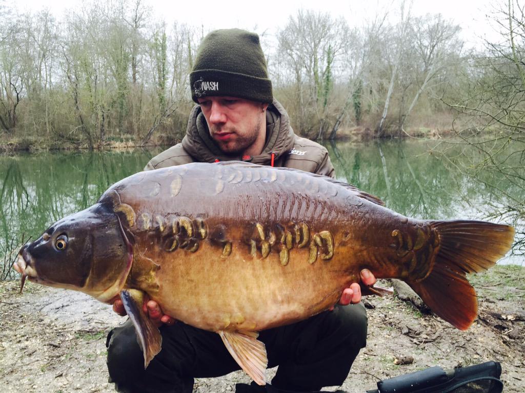 LanceLongman's tweet photo. Stunning scales from Les Quis @KordaOfficial @CarpTalkMag  #CarpFishing http://t.co/bT1dOqBnVs