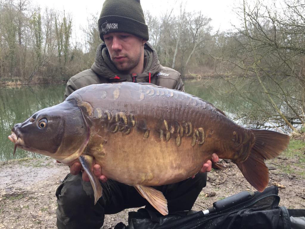 LanceLongman's tweet photo. Stunning scales from Les Quis @KordaOfficial @CarpTalkMag  #CarpFishing http://t.co/bT1dOqBnVs