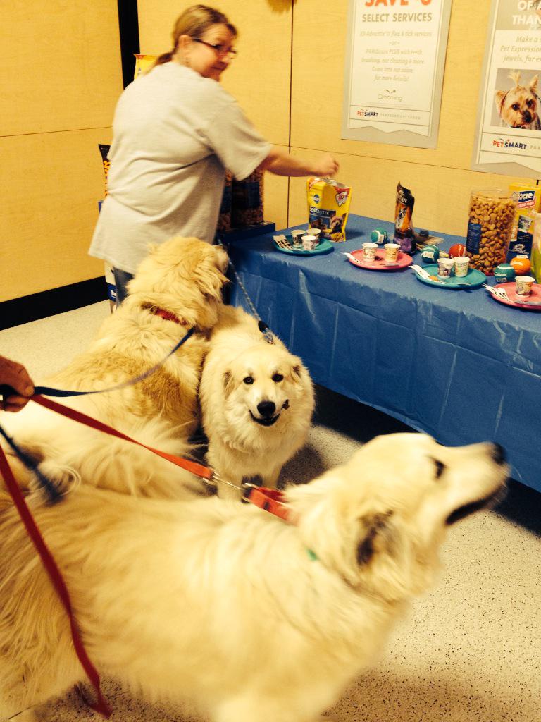 TempleManager's tweet photo. Triplets are loving the treats!!! #PetParenthood #eastplains #PetSmartEvent http://t.co/QvnDjQrXKo