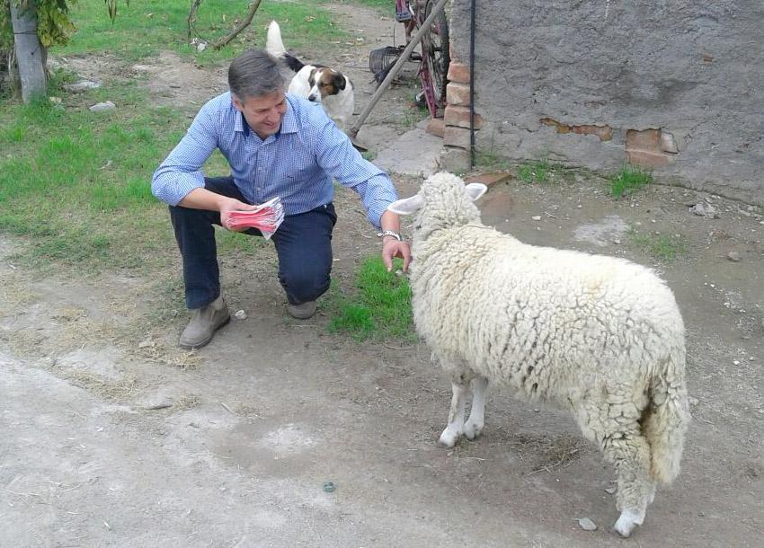 janymolero's tweet photo. #Sábado "Día de Campo", mejor dicho, "TRABAJO DE CAMPO EN OESTE".

#JanyMoleroIntendente

#SOMOSelCAMBIO

Lista #508B http://t.co/NFc7ZzAg6k