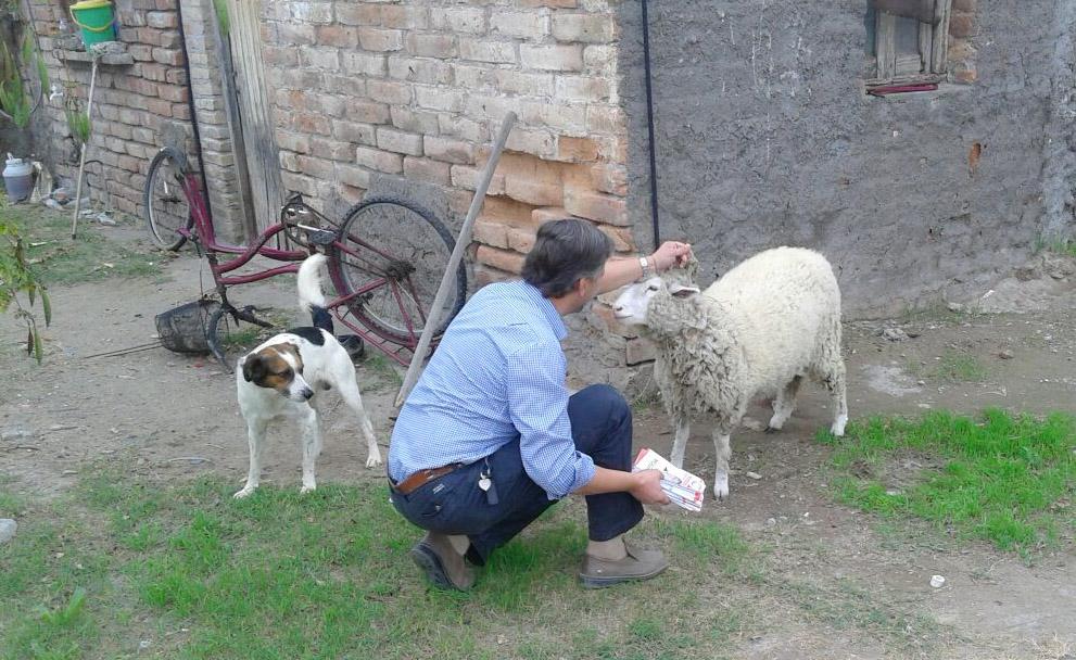 janymolero's tweet photo. #Sábado "Día de Campo", mejor dicho, "TRABAJO DE CAMPO EN OESTE".

#JanyMoleroIntendente

#SOMOSelCAMBIO

Lista #508B http://t.co/NFc7ZzAg6k