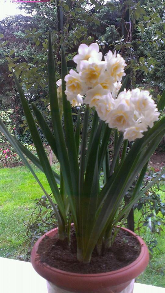 Sayın AYŞEN ESENDURAN'dan mutlu hafta sonu dilekleri ile iyi tatiller.. Güzel fotoğrafları için teşekkür ederiz..