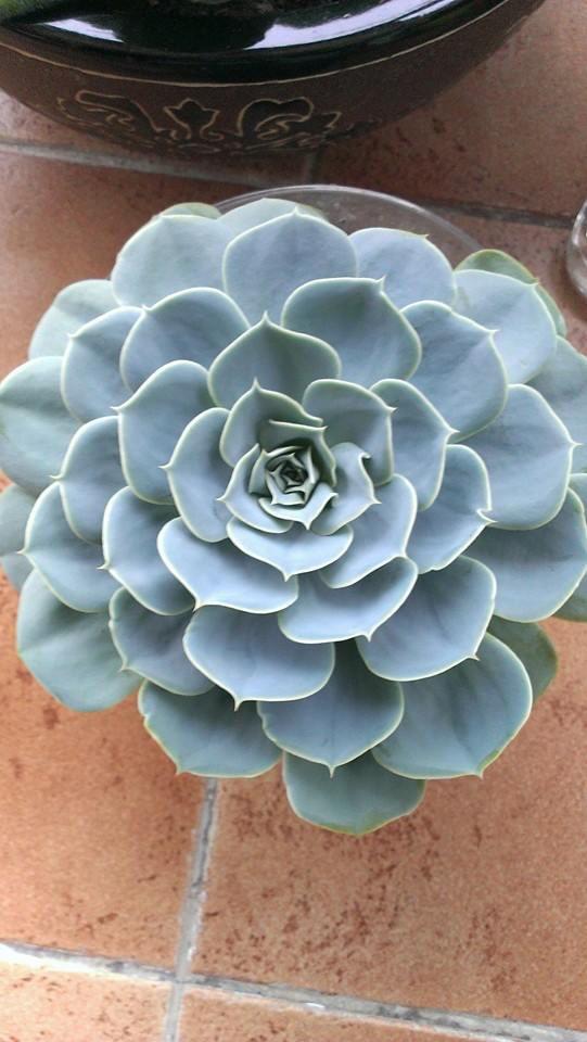 Sayın AYŞEN ESENDURAN'dan mutlu hafta sonu dilekleri ile iyi tatiller.. Güzel fotoğrafları için teşekkür ederiz..