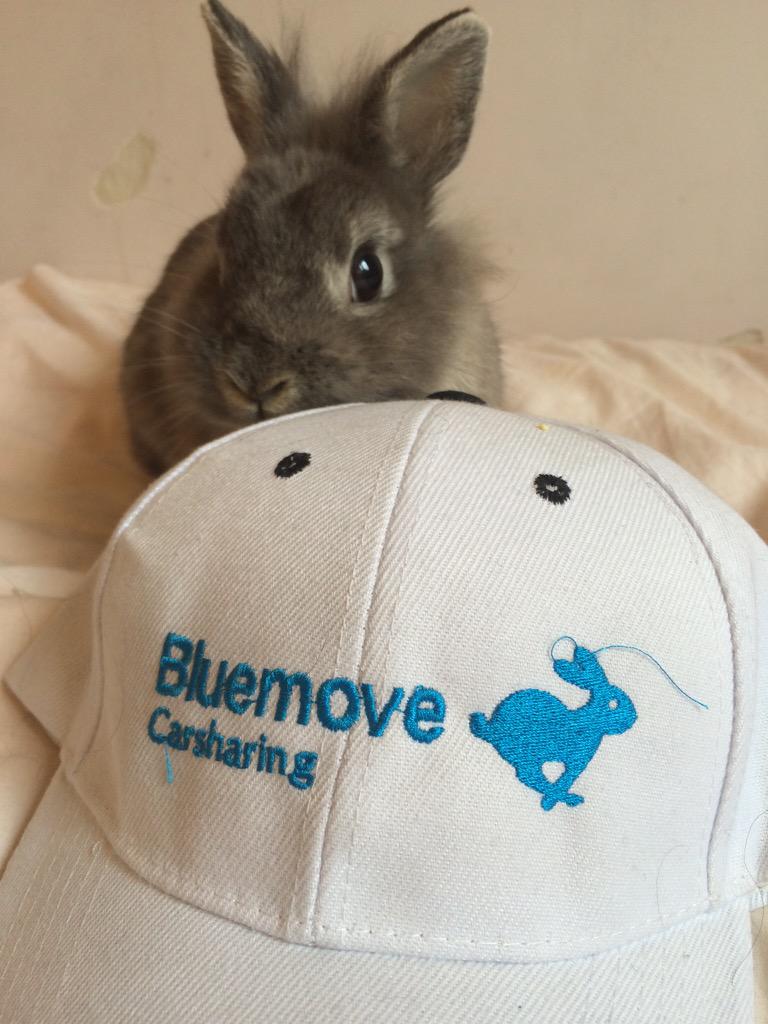 92Berta's tweet photo. Detallito de @Bluemove por ser un #Bluerabbit #FollowTheBlueRabbit @LaraCurz http://t.co/wHskCgDgig