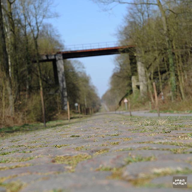 parisroubaix's tweet photo. We just finished to count the cobbles: 6 071 040 vs 5 900 000 (2014) #ParisRoubaix http://t.co/nTzaDkI8AJ