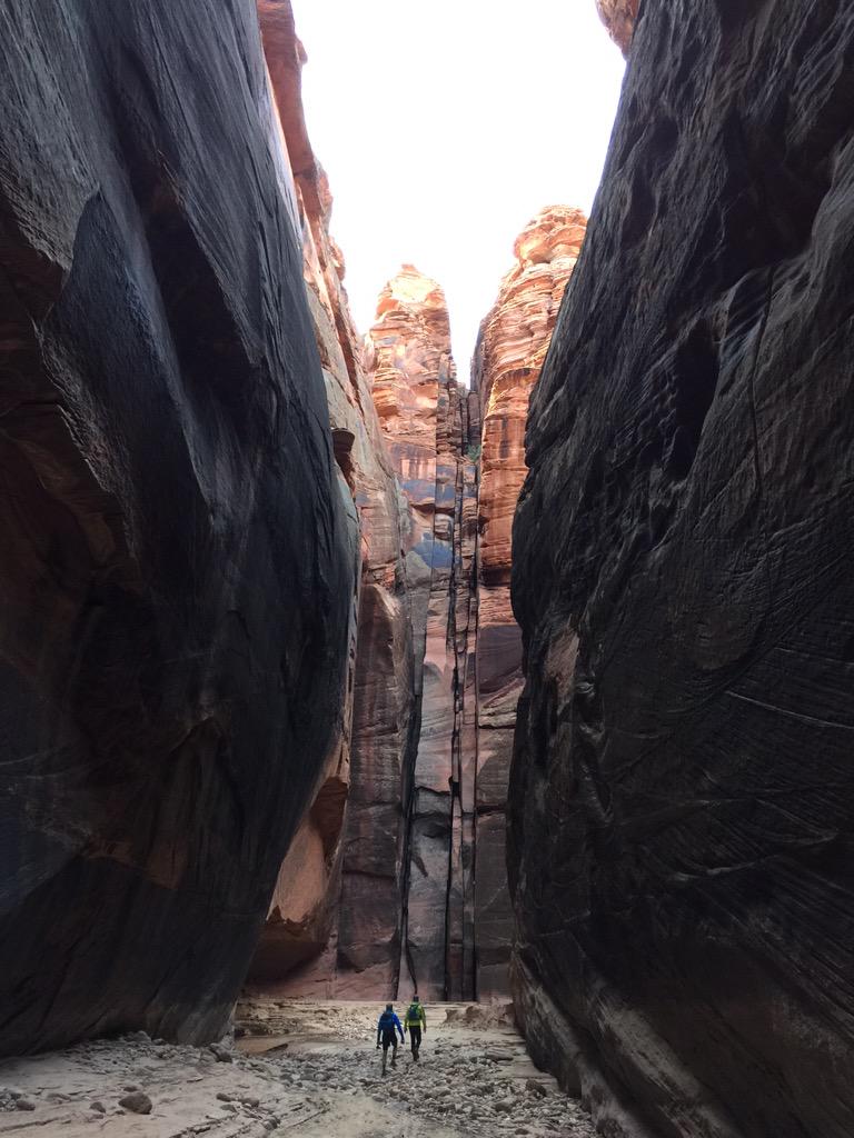 dannybryson tweet media