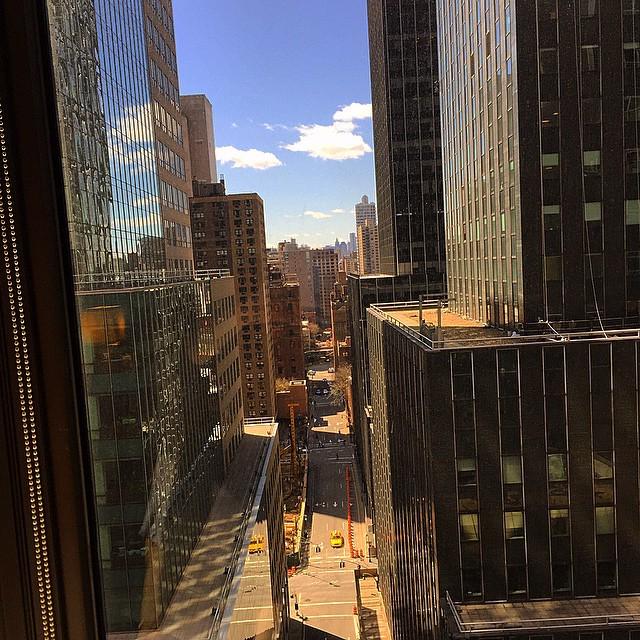 WEEDOFIG's tweet image. Last full day in NYC, man I&apos;ve missed this city! Always be a New Yorker.. 🗽🗽🗽 #nyc  #hemphogg #dpfm #dabeasy #hrbn_…