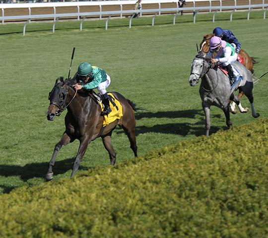 BH_AEberhardt's tweet photo. #BallDancing @jjcjockey Javier Castellano takes G1 #JennyWiley @keenelandracing for Farish and Mooney. @LanesEndFarms http://t.co/IlaaxK95Ny