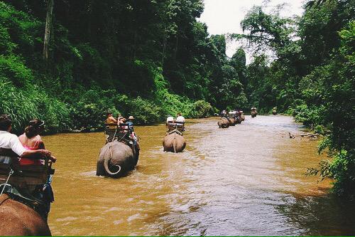abbykeenan3's tweet photo. 3 months๐ #helpintl #thailand http://t.co/tc4fSxQUtt