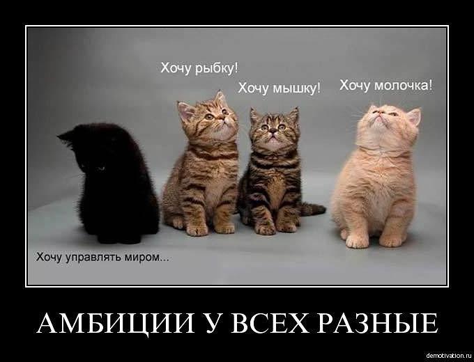 TestProfy tweet picture