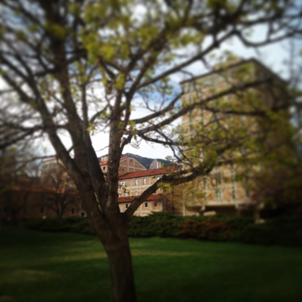 LindsayatCU's tweet photo. @mycuboulder the flatirons are inescapable. #beauty #boulderbound #ASDatCU http://t.co/ScvQsnJxbF