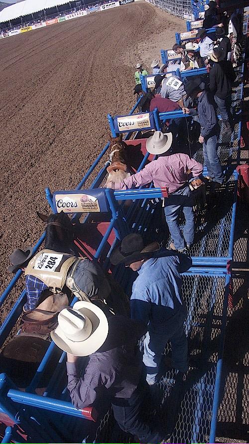 rodeolyfe's tweet image. I just can't wait for summer night rodeos