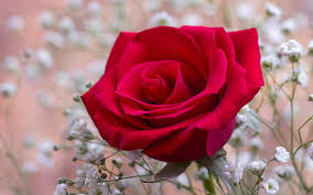 queta752's tweet photo. HOLA BUEN DIA saludos http://t.co/omYPIjCtlC