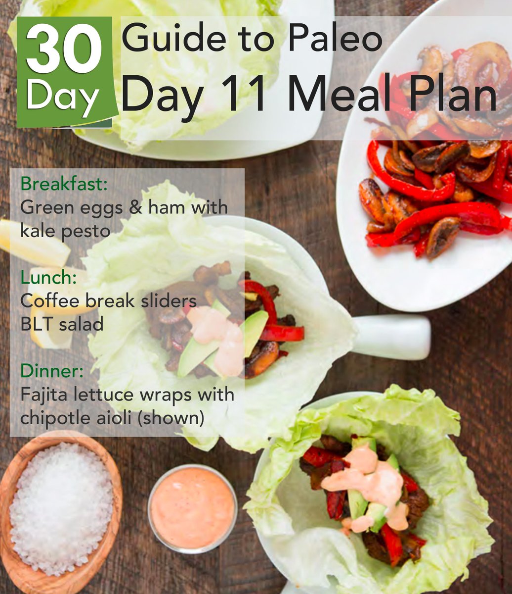 GuideToPaleo's tweet photo. Day 11 on #30days of Paleo - woot woot!! Here's your meal plan for today: http://t.co/JCd37ggCej