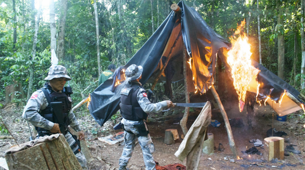 . @jefftollef explores the human conflicts arising from deforestation in the Amazon ow.ly/LrhwR