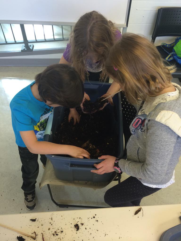 ConnaughtGarden's tweet photo. The kids are loving the worm bin! http://t.co/VwcJpwnf0O