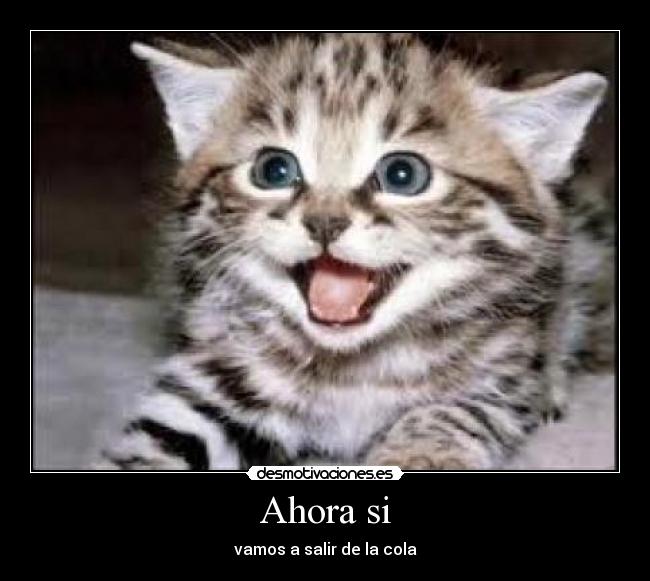 queta752's tweet photo. @JosefinaSolanol   hola estoy practicando haberm si te llega la imágen http://t.co/91wLRDaKyt