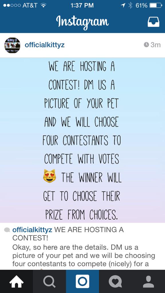 Kitty Z (@OfficialKittyZ) / Posts / X