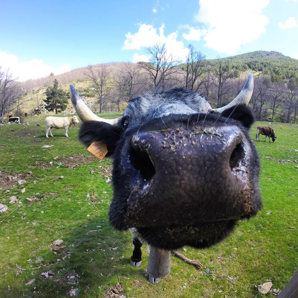 Espectacular fotografía con <a href="/GoPro/">GoPro</a> @GoProWord 
#GoPro #goprogallery #photo #cámaradeacción