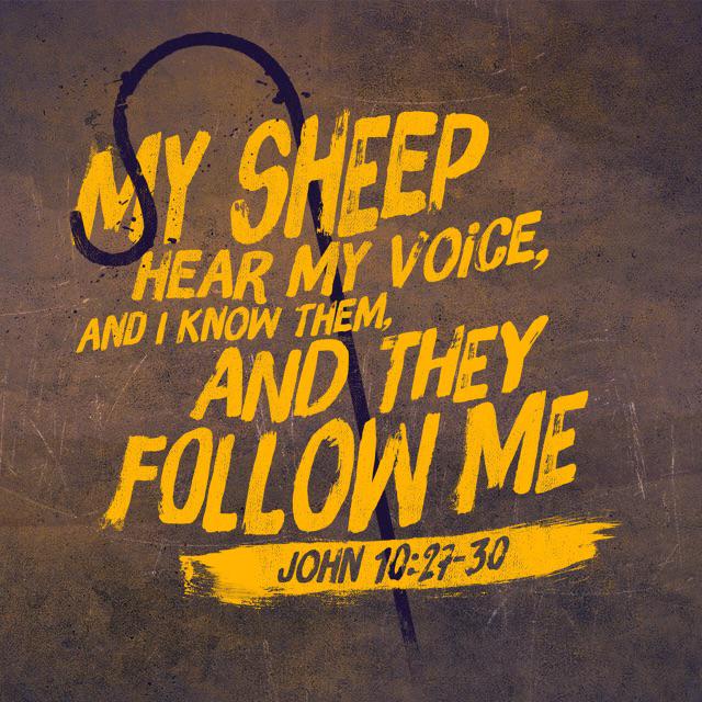 YouVersion Bible App tweet media