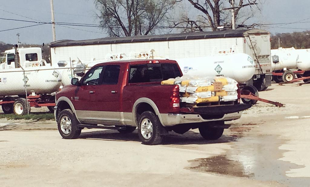 David Wolfe tweet media