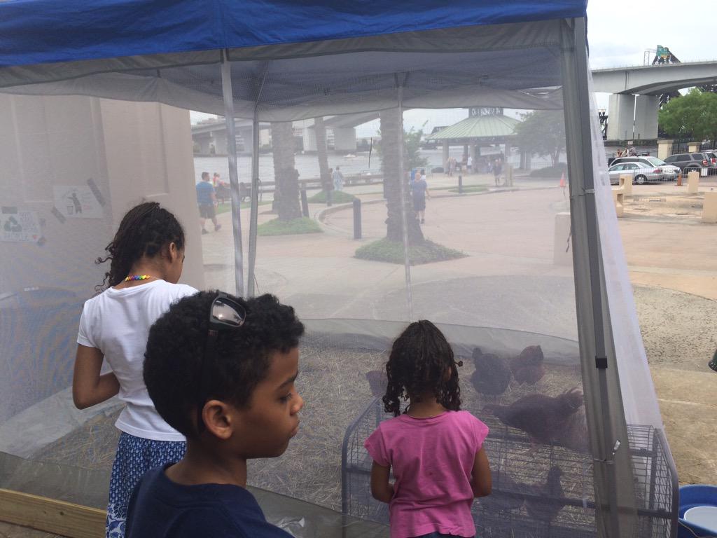 IgniteMediaJax's tweet photo. Petting zoo @HappyAcresJAX set up outside of #EdSpark! #OneSpark http://t.co/IiJkT48pgK