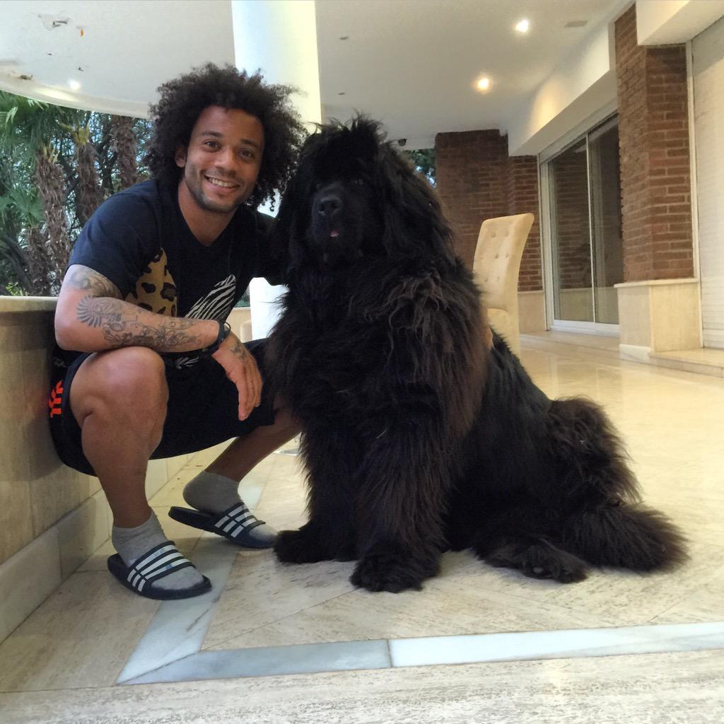 MarceloM12's tweet photo. Mi Lolita http://t.co/rQOYfO0vsp