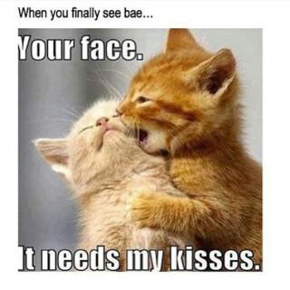 VanDerCrowie's tweet photo. Damn, More like -it needs saliva *Wham!* Lick across the cheek :') RT "@Kischa_Boobies: Suspect For Doing This http://t.co/DTX2V3UVJS"
