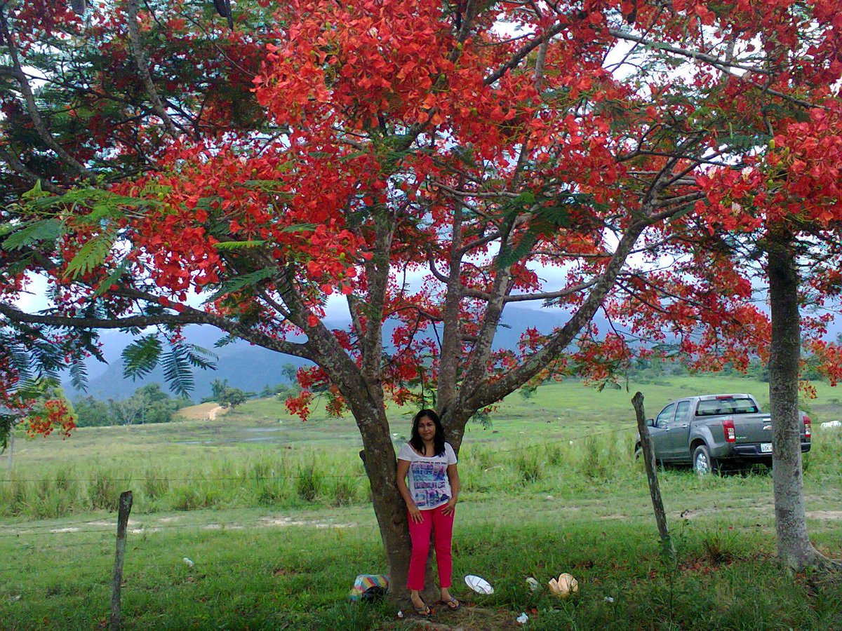 MujerEcuador's tweet photo. yo`p http://t.co/N66tl6RtoN