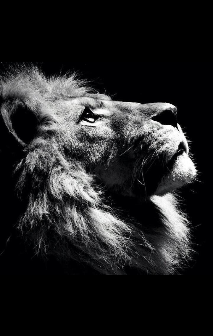 Mardo  tweet media