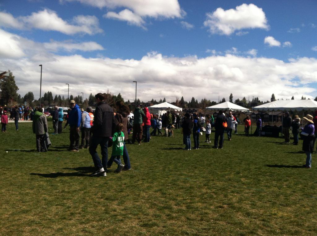 HollyAHowell's tweet photo. Volunteering with the JDRF today for the Walk for a Cure for Diabetes!
#LoveWhatYouDo http://t.co/yC2zi9mATS