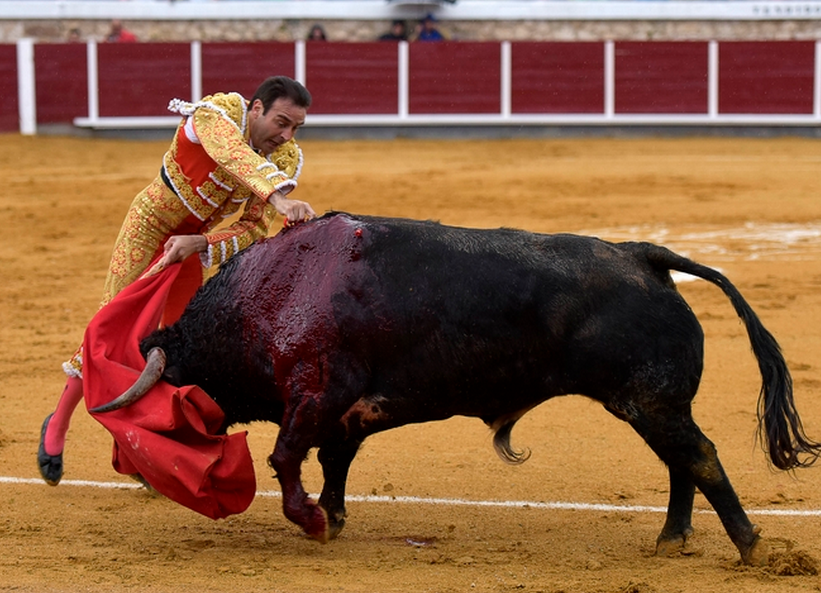 RiscaDavid's tweet photo. 25 años. Todo demostrado. Pero así se tiró a matar Enrique Ponce en Brihuega. No hay más preguntas señoría. http://t.co/of5IghEBnX