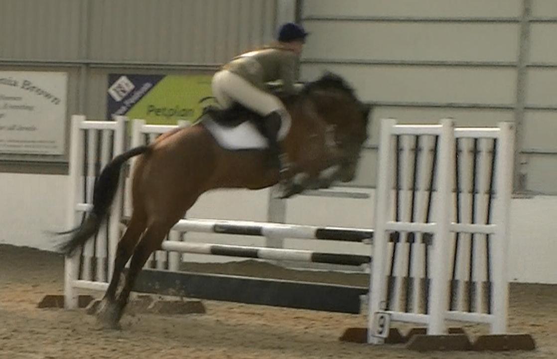 Cant get over that buzz feeling when showjumping,feels like flying #overthemoon