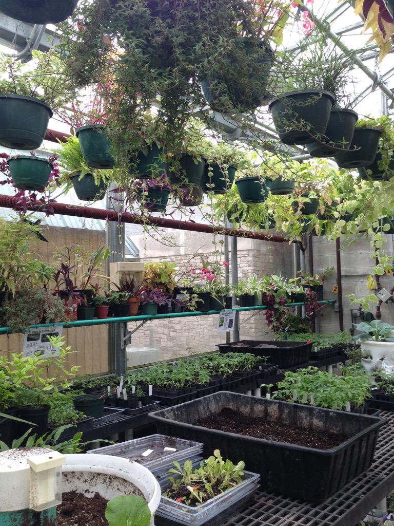HilltopIU's tweet photo. No green thumb? No problem! April 18th, friends and family can come learn beginner techniques with agencies! Free! 🌺🌵 http://t.co/ojqyqNY546