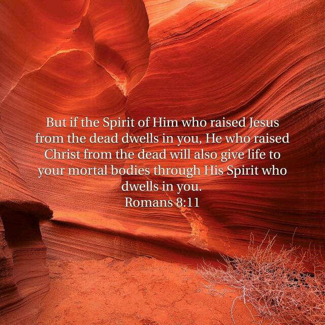 drp6830's tweet image. bible.com/12/rom.8.11.ASV