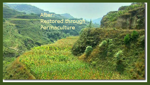 homesteadtoolbx's tweet image. Saw this at the Earth Day Festival in Vista today. Permaculture is Amazing!
youtube.com/watch?v=sK8JNX…