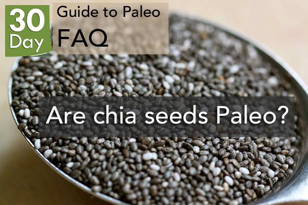 GuideToPaleo's tweet photo. #Paleo FAQ: Are Chia seeds Paleo? http://t.co/yPyjxRXcJ6 http://t.co/dbx0LaaxE8