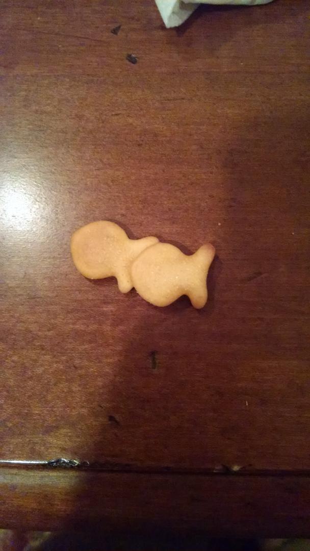 ToljanMilan's tweet photo. How goldfish are made http://t.co/4kEebKvcpZ