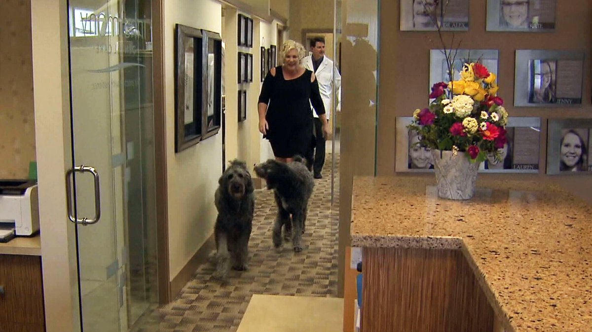 CTVVancouver's tweet image. Scared of the dentist’s chair? Dog duo helping soothe patient fears bc.ctvnews.ca/scared-of-the-…