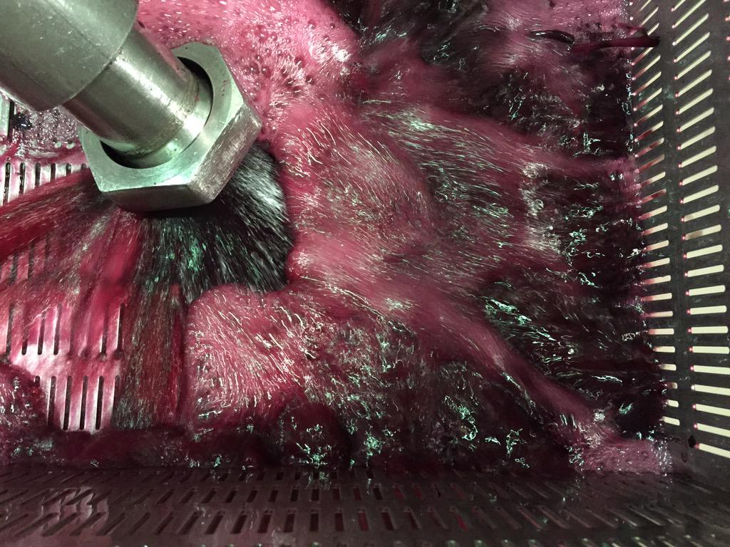 trinityhillwine's tweet photo. Looks like a good year for Merlot
#pumpovers http://t.co/i8cwWI7brQ