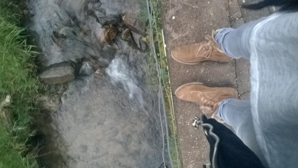 SchellyAt's tweet image. Fam.💜