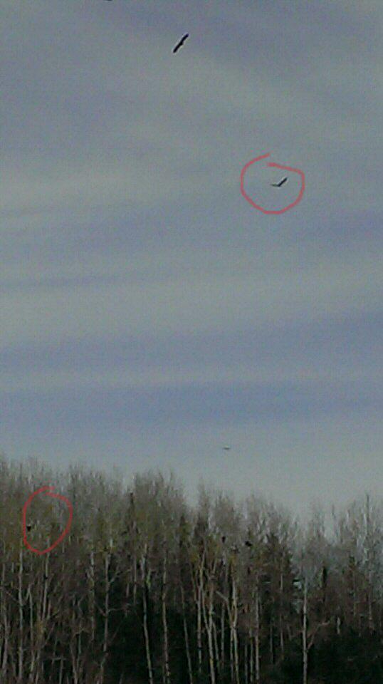 NET205CindyL's tweet image. #net205 Answer: