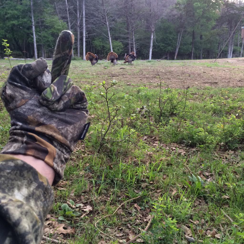blakeshelton's tweet photo. http://t.co/6Bi5Xb03Ty