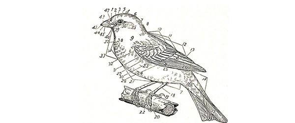 hootsuite's tweet photo. Learn to write a perfect Tweet with this template: http://t.co/IELxfBdAP3 http://t.co/apCDymn5RC