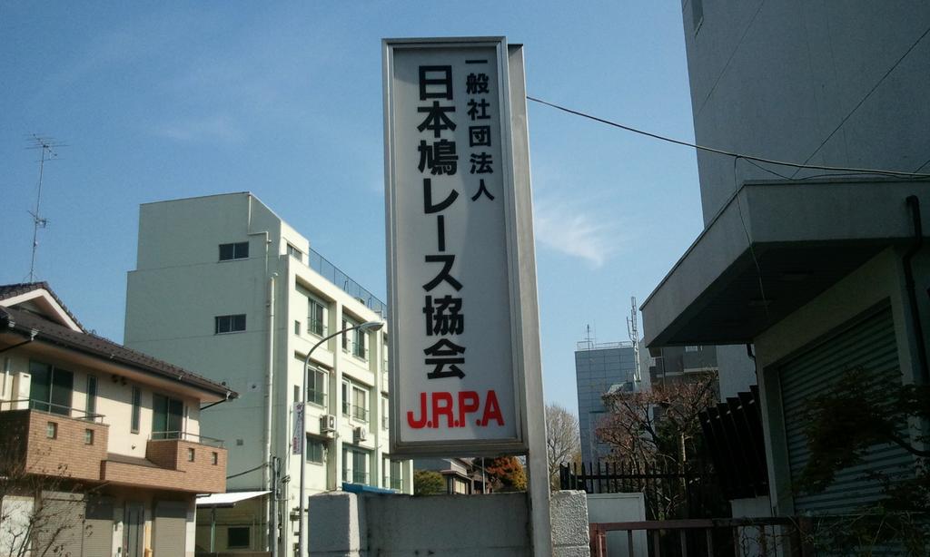 日本鳩レース協会