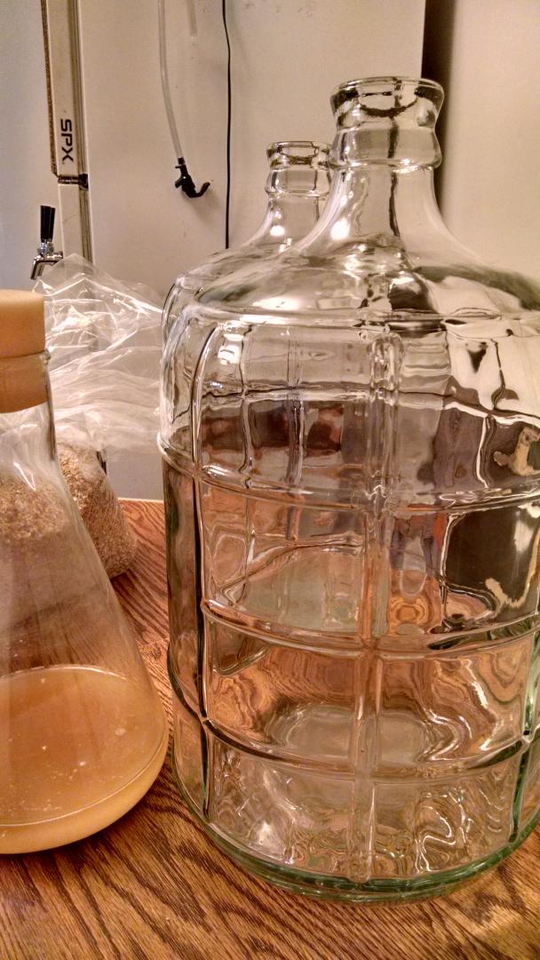 evilbrewers's tweet photo. Brewing a #saison today, splitting it up into two 3 gal carboys to experiment with different yeasts #evilbrewers http://t.co/F3cIAAtvlo