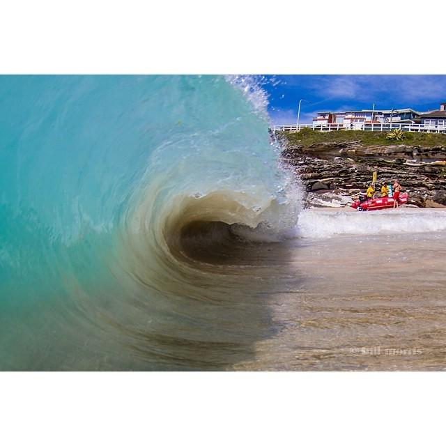 If this was true to scale, they'd be in trouble. #surfclubsunday #tamarama #IG
