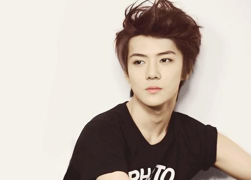 mtiarart's tweet photo. aahh dia tumbuh dengan cepat #HappySehunDay #HappySehunDay #HappySehunDay #HappySehunDay #HappySehunDay http://t.co/uH1YVL7U2g