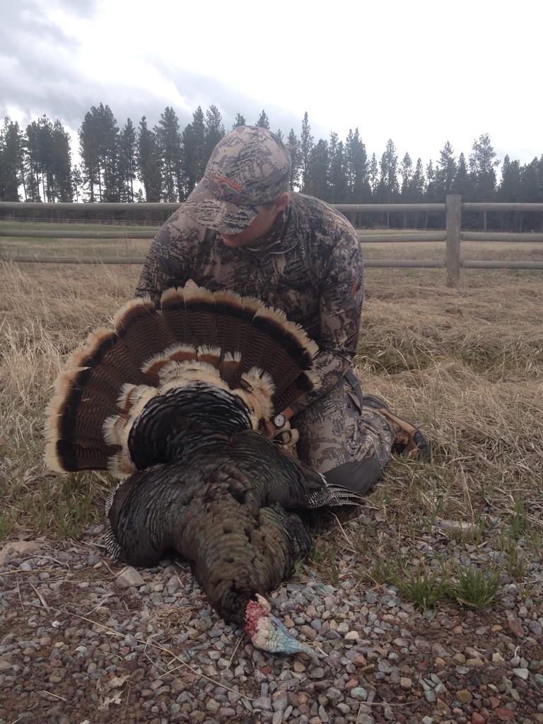 Caveman894's tweet photo. First day of the season! There's something strangely thrilling about a turkey's gobble. @SitkaGear @TrophyShots #hunt http://t.co/cQcudF9OcM