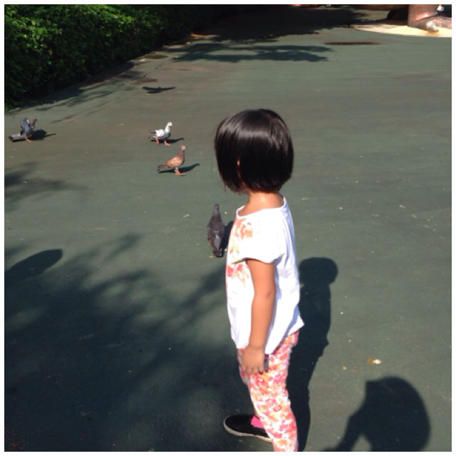 nyesi's tweet photo. Lari sama pelari cilik kompetitif I just ran 1,69 km @ a 8'46''/km pace with Nike+. http://t.co/aIs1MZt7Cj #nikeplus http://t.co/CXrft55Z5B